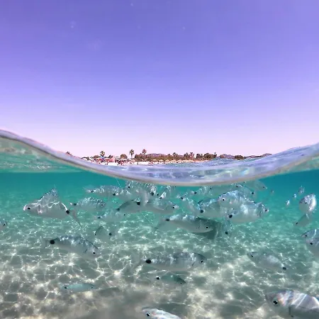 Sardegna Stelladimare Σπίτι διακοπών *