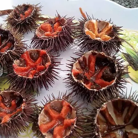 Sardegna Stelladimare Σπίτι διακοπών Costa Rei